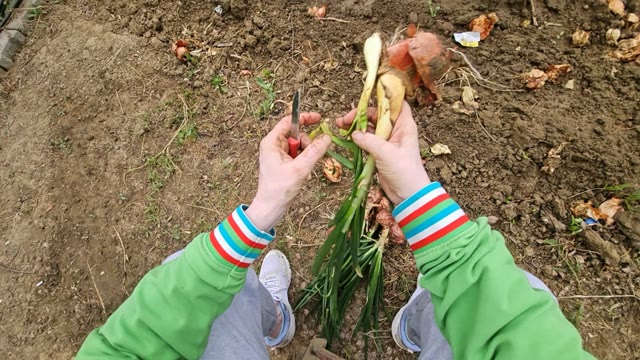 Agriculture & Farming